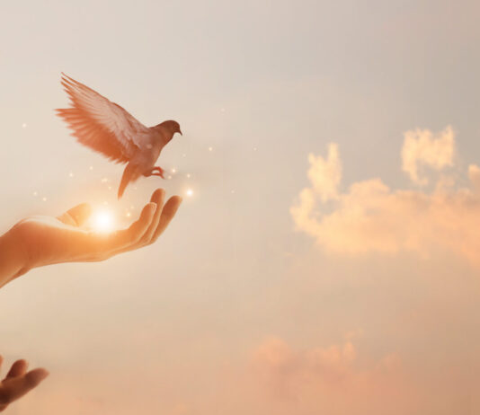 Golob priznal: nimam 46 glasov, veselim se dela v opoziciji – Janša vse bližje prevzemu oblasti