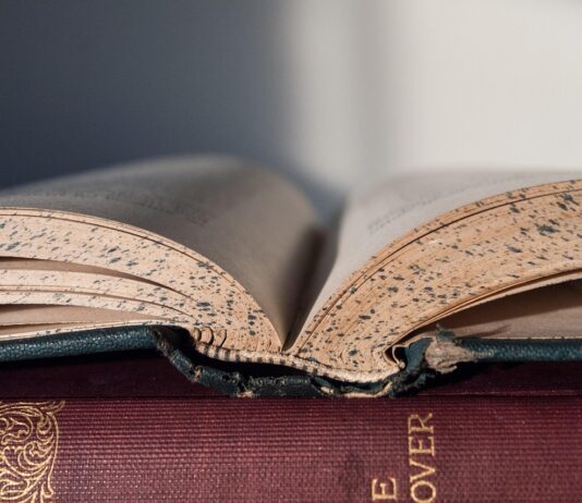 Pomen današnje reformacije: Stati inu Obstati!