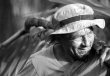 Koalicija zavrnila predloge za pomoč malim kmetijam – jih situacija z reševanjem romske problematike ni naučila nič?