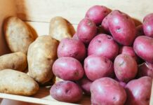 Ali veste, kateri slovenski krompir je najboljši za kuhanje in kateri za pečenje?