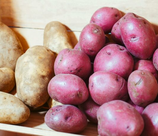 Ali veste, kateri slovenski krompir je najboljši za kuhanje in kateri za pečenje?