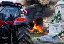 Bruselj v plamenih: Kmetje Evrope so se prebudili – in EU je na robu katastrofe!