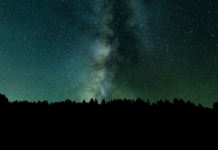 Razkrivamo: prerokba za leto 2026 in srečna astrološka znamenja!