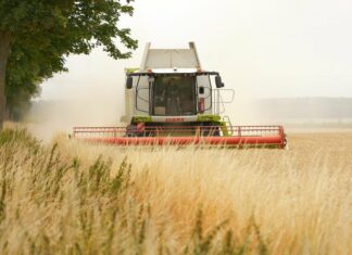 Kaj pa slovensko kmetijstvo: kdo je popolnoma pozabil nanj?