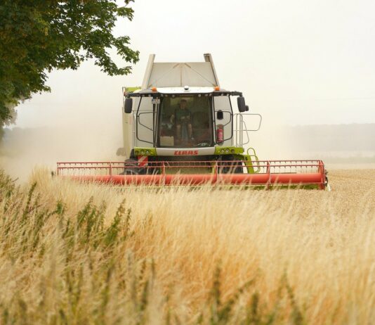 Kaj pa slovensko kmetijstvo: kdo je popolnoma pozabil nanj?