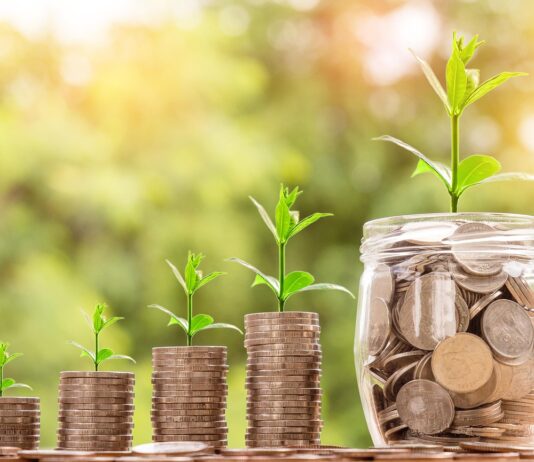 Gonilna sila vsake uspešne države: dobro delujoče gospodarstvo