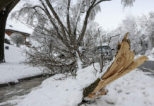 Snežna sramota: Golobova vlada Slovence pustila na cedilu – spet!
