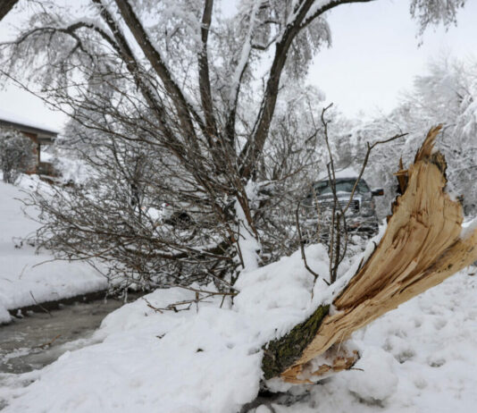 Snežna sramota: Golobova vlada Slovence pustila na cedilu – spet!