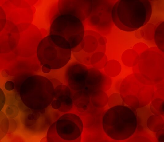 Slovenski film, ki razgalja zgodovino in zamolčana čustva: naša kri