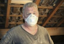 Tihi virus iz mišjih iztrebkov: zdravniki opozarjajo na nevarnost, ki se skriva v kleteh in lopah