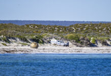 Vesoljski odpadki na plaži v Queenslandu: Ali so kovinske krogle del rakete?