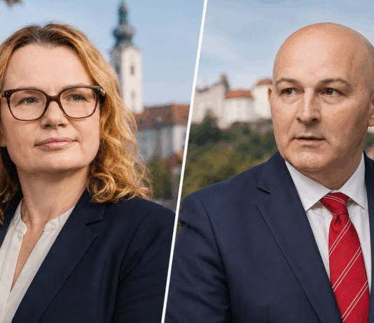 Manj Ljubljane, več Slovenije: decentralizacija navdušuje regije, prestolnica bo prometno in institucionalno razbremenjena