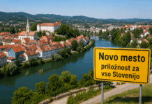 Ljubljana ni Slovenija: zakaj je selitev šolskega ministrstva v Novo mesto odlična ideja