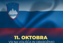 Anketa pred 11. oktobrom: pri vseh štirih referendumskih vprašanjih več glasov ZA anketa, referendum - chat gpt