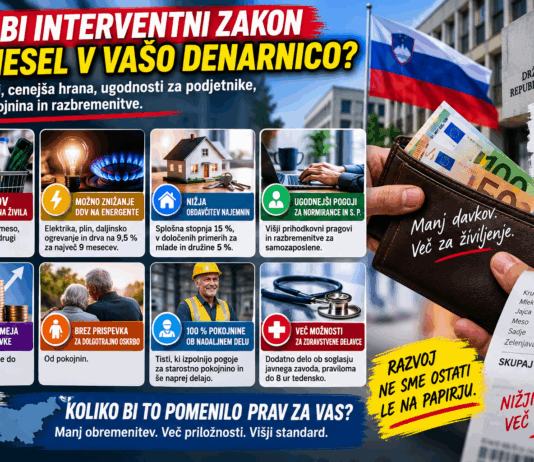 KAJ BI INTERVENTNI ZAKON PRINESEL V VAŠO DENARNICO? Cenejša hrana, nižji davki, polna pokojnina ob plači in razbremenitve za s. p. zakon, chat gpt