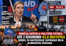 NEMČIJA DOŽIVELA POLITIČNI POTRES ALI SOOČENJE Z REALNOSTJO? AfD z rekordnih 43,8 odstotka, Weidel pa napoveduje zapiranje meja in množična vračanja AfD, Nemčija- chat gpt