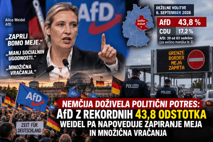 AfD, Nemčija- chat gpt