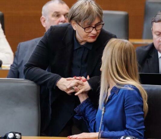NASILJE V DRŽAVNEM ZBORU?! Poslanka Levice Sukič izgubila živce, poslovnik poletel proti Mahniču Sukič, Nataša - poslanka DZ