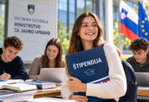 Študenti, pozor: država ponuja kar 148 kadrovskih štipendij in možnost zaposlitve po študiju vlada, razpisi za štipendije - chat gpt